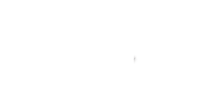 
LisVerhoeven